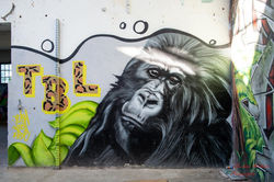 2019-09-02 A-C Urbex (16)