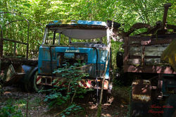 2019-07-16 A & E JPG (37)