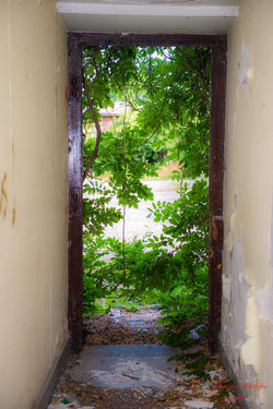 2020-09-03  Urbex (15)