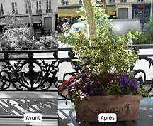 rebord-fenetre-paris-9-avant-apres.png
