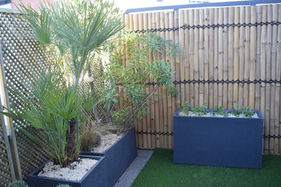 Terrasse rafraîchie à Saint-Ouen : palmier, jardinières anthracite, brise-vue bambou et jardinière d'aromatiques