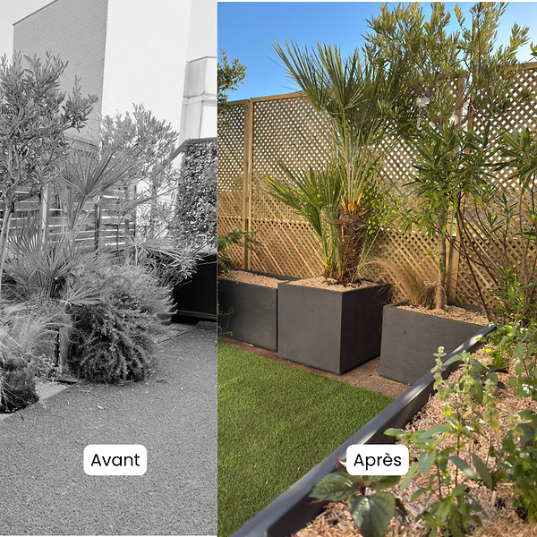 Terrasse à Saint-Ouen avant après rafraîchissement : jardinières anthracite, brise-vue, palmier