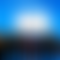 Sun Chemical, “İhracatın Liderleri” Ödülüne Layık Görüldü