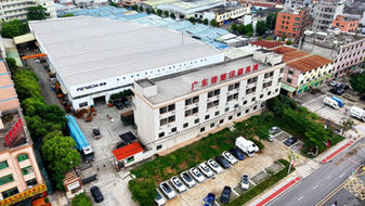FENGCHI, Baskı Sonrası Teknolojilerde Küresel Büyümesini Sürdürüyor