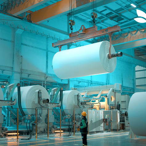 Lila Kağıt, 2025 Yılını Güçlü Bir Finansal Performansla Kapattı