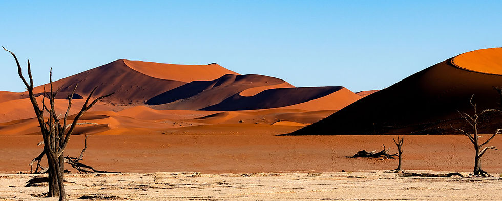 namibia - namib-naukluft-national-park-sossusvlei-namibia-dead-camelthorn-trees-against-or