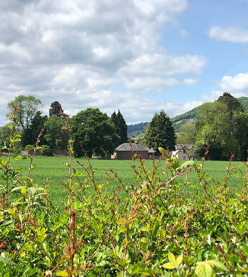 View across a green field through trees of Maindiff Court hospital and the Deri hill