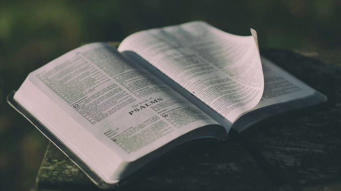Bible Study on Wednesday Evenings