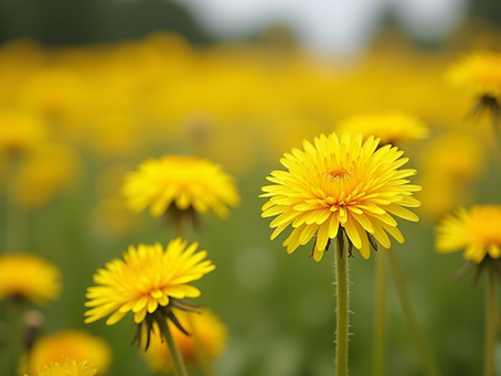 Unlocking the Power of Herbs for Detoxification