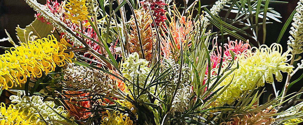 uuid=D0911733-EB0A-4A05-BE50-C5D824BC37E9&code=001&library=1&type=1&mode=2&loc=true&cap=tr