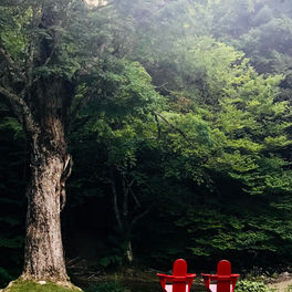 The Sacred Pause: The Gentle Art of Returning to Ourselves