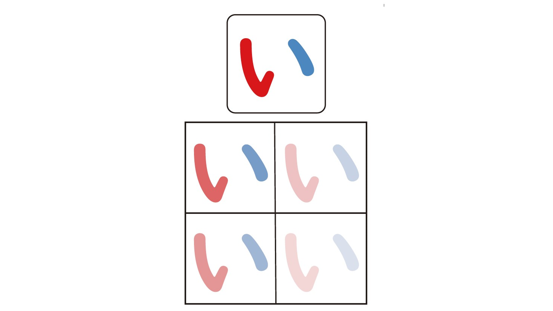 文字なぞり ひらがな書き順50音一式 全46ページ 2パターン 株式会社jus