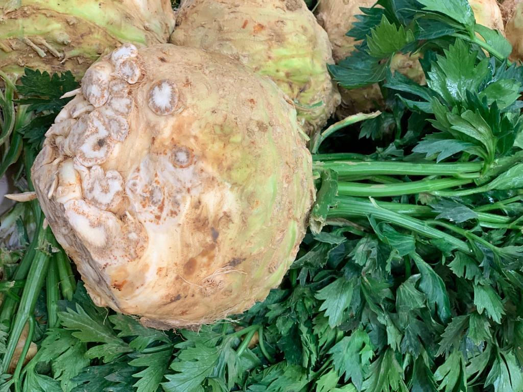 Celeriac Leafy ( Each )
