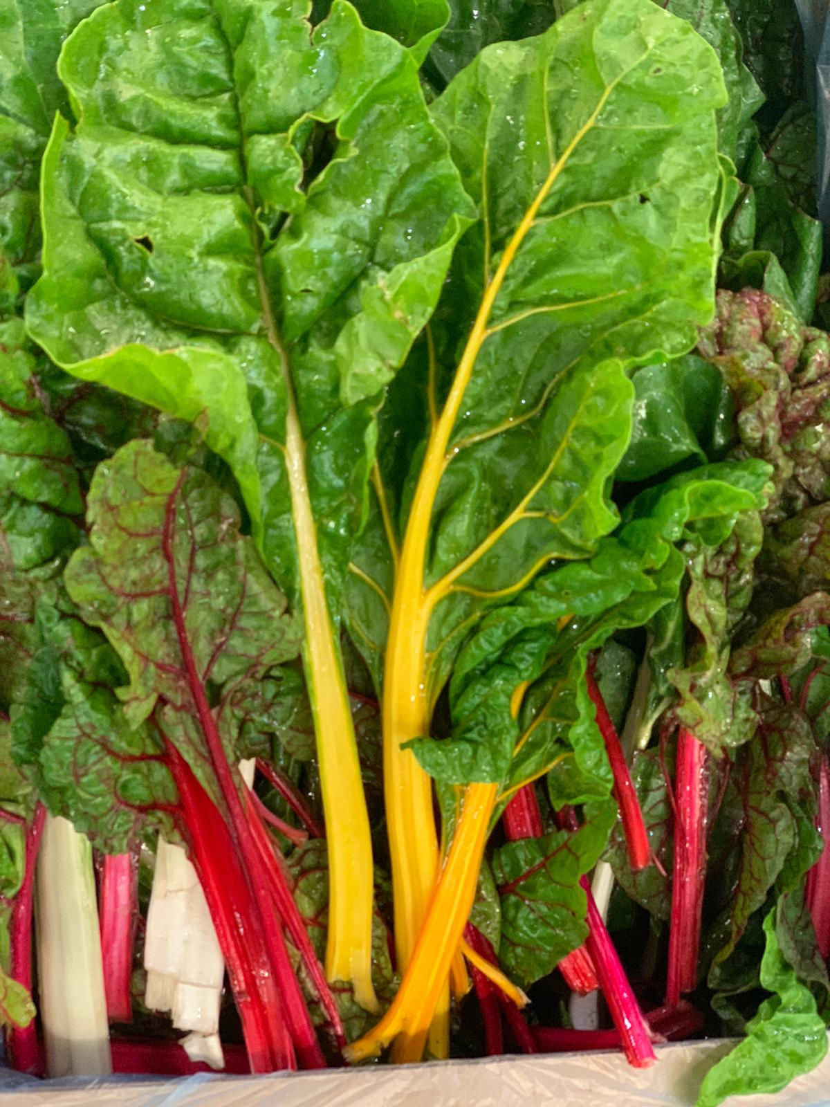 Chard Rainbow ( 500gr )