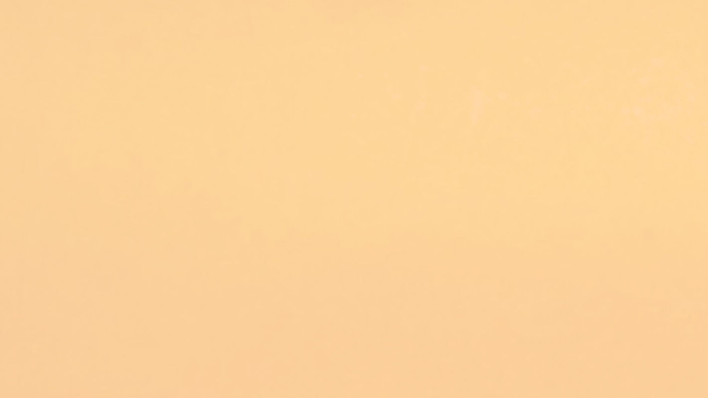 Orange Background_edited.jpg