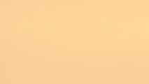 Orange Background_edited.jpg