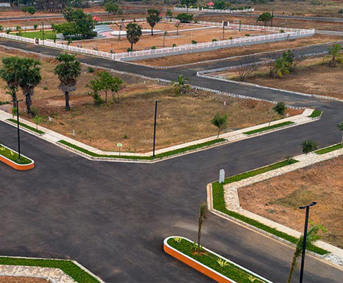 layout-development_edited.jpg