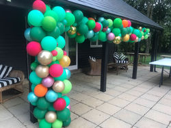 Organic Balloon Arch