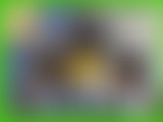 Toledo Rockets vs Bowling Green Falcons CFB Free Pick, Odds, Preview, Prediction (11/14/23)