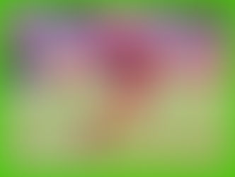 Seattle Seahawks vs San Francisco 49ers NFL Free Pick, Analysis ,Odds, Preview, Prediction, 1/14/23