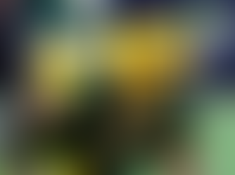 Green Bay Packers vs Chicago Bears NFL Free Pick, Odds, Preview, Prediction (1/10/26)