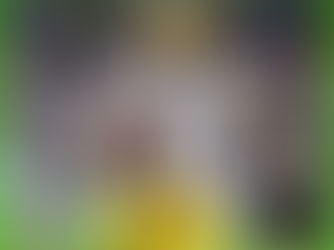 LSU Tigers vs Florida State Seminoles, 9/4/22 NCAAF Free Pick, Odds, Preview, Prediction.