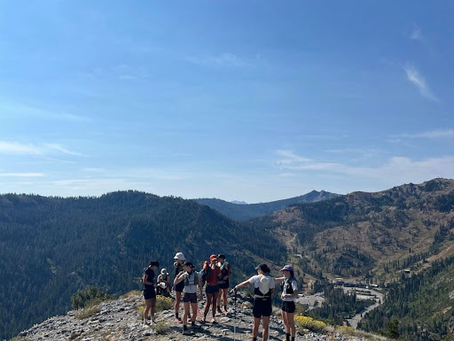 Choosing Experience over Performance