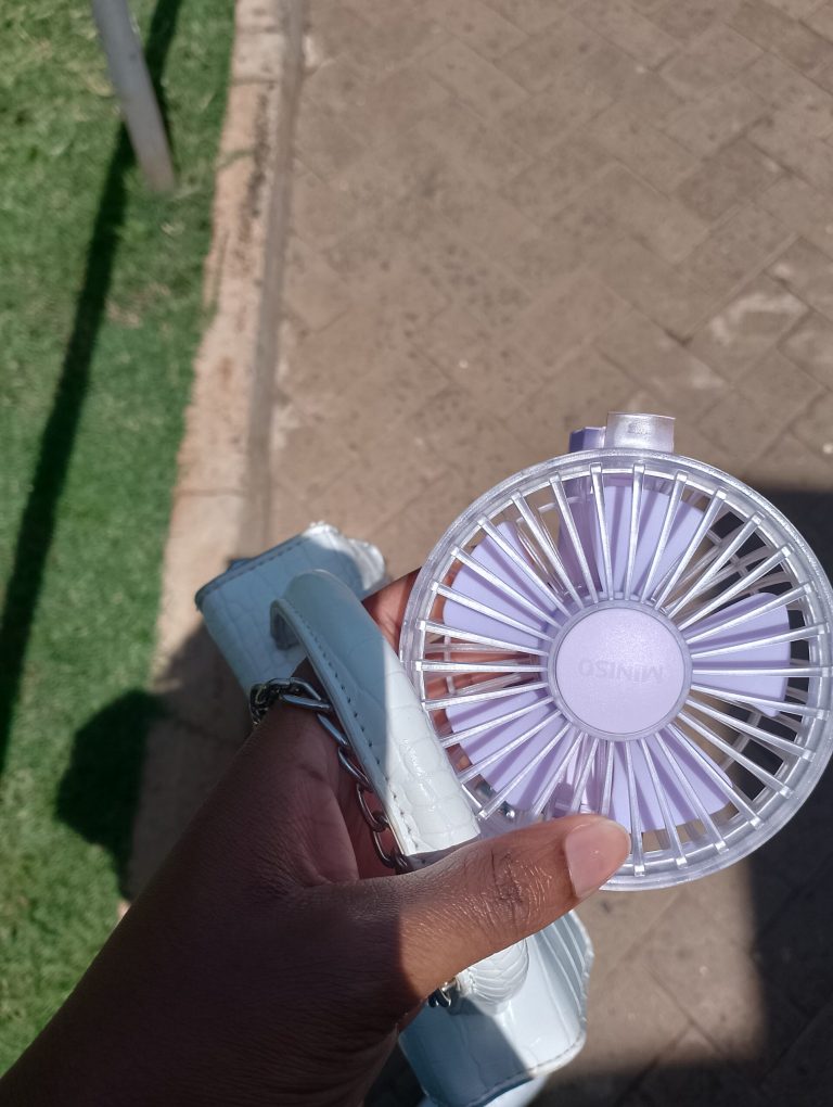 Handheld Fan