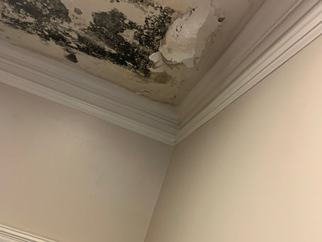 Summer Storms and Drywall Damage: What to Watch For After a Leak