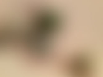 レッスン近況報告♪