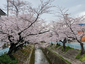 発表会に向けて♪ コンサート追加公演情報