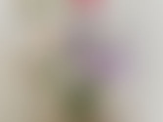 久しぶりの雨…。