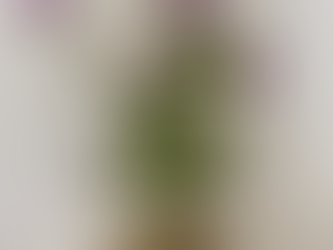 遊び弾きから・・・