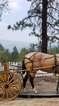 Chuckwagon (32) - Copy.jpg