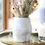 Thumbnail: Ceramic Speckled Bum Vase H14cm