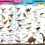 Thumbnail: Tin Set - Discover Dinosaurs