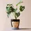 Thumbnail: Blue Face Ceramic Planter and Tray, 9cm