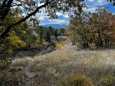 When Should a Land Survey Be Performed?