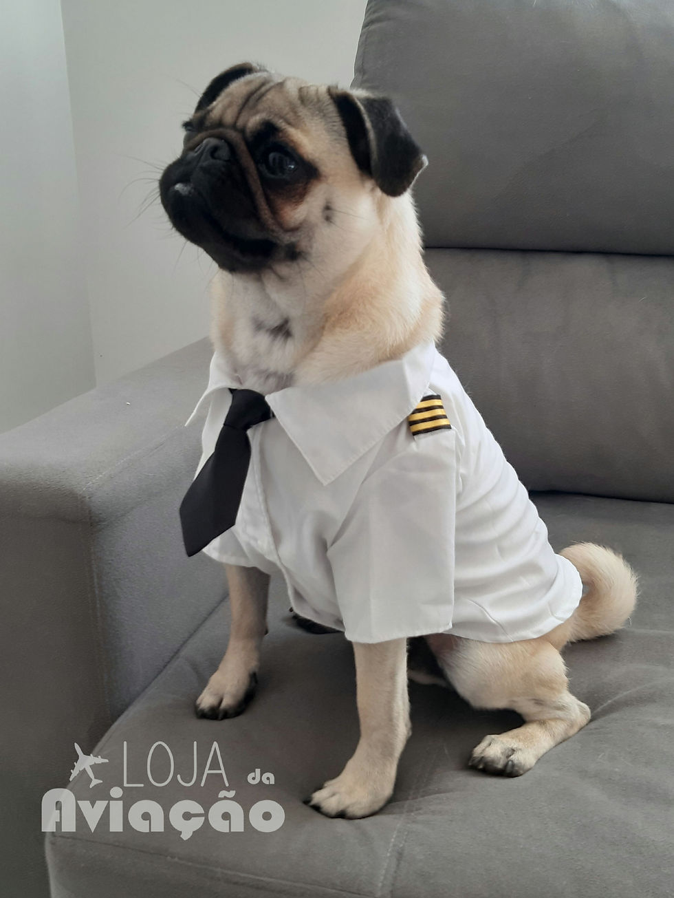 Miniatura: ROUPA PARA CACHORRO GATO PET UNIFORME DE PILOTO