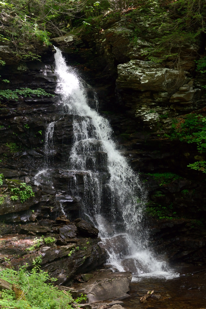 waterfall glen mountain bike trail waterfall glen mountain bike trail