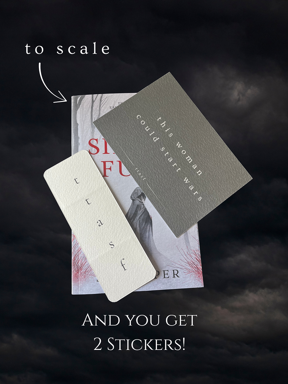 Thumbnail: To Touch A Silent Fury - Signed Paperback