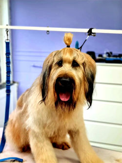 IMG-20220107-WA0000_edited