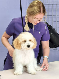 IMG-20220616-WA0008_edited