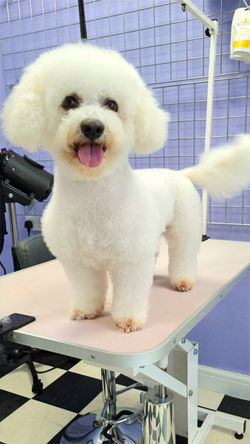 20220609_130401_edited