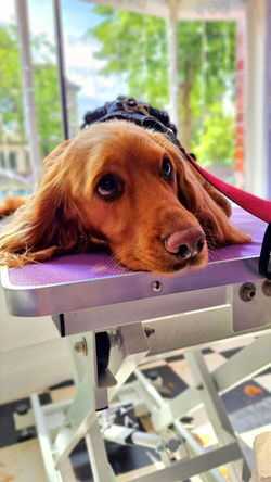 20220518_110834_edited