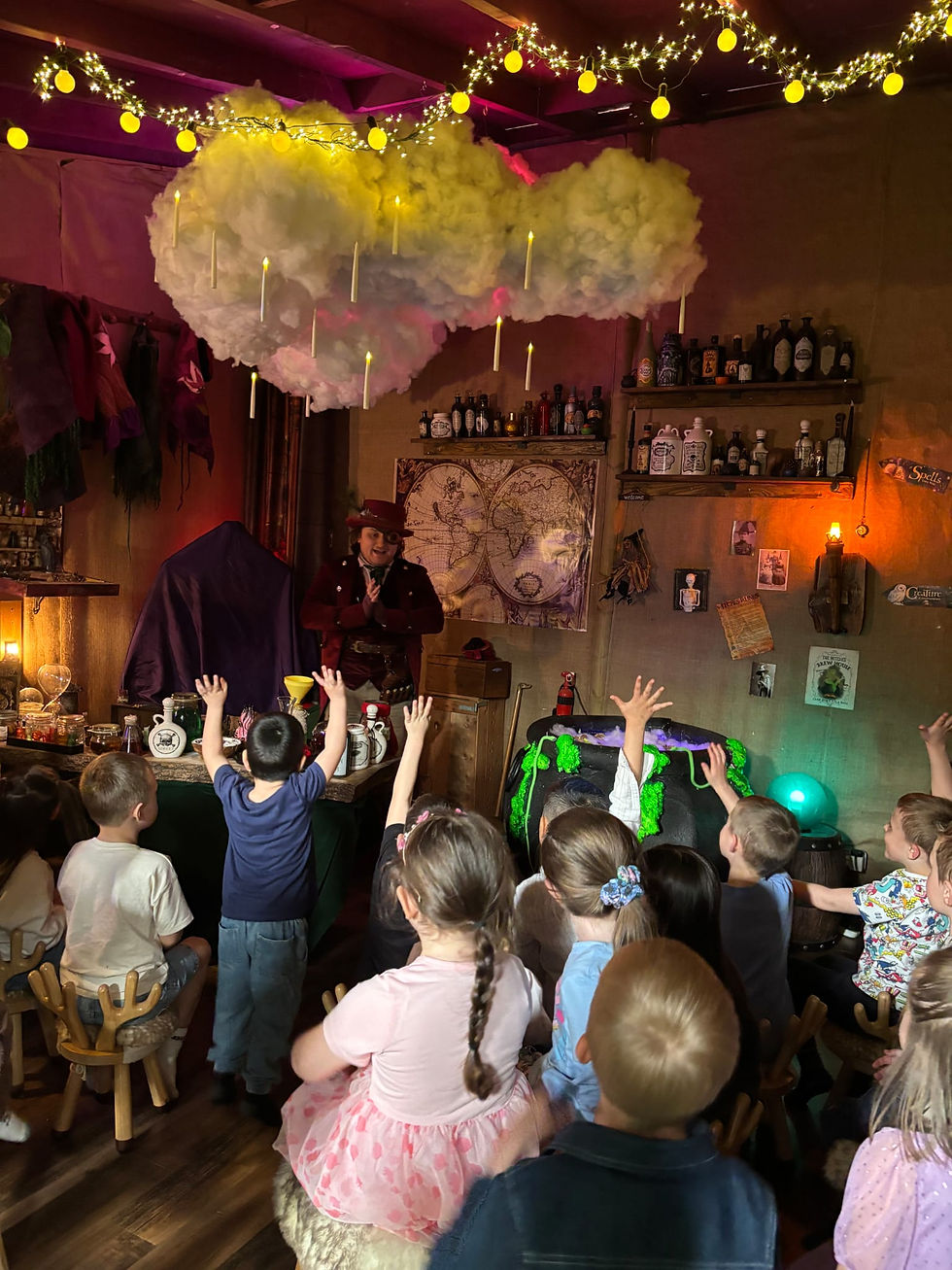 Wizard Party Booking for Children Party at Poppelwood