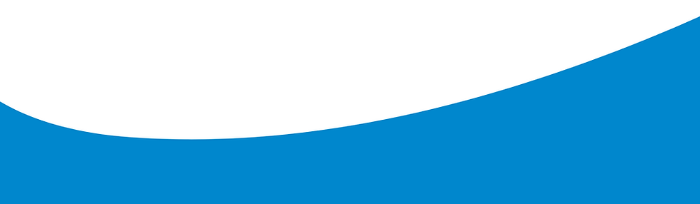 background bottom-2.png