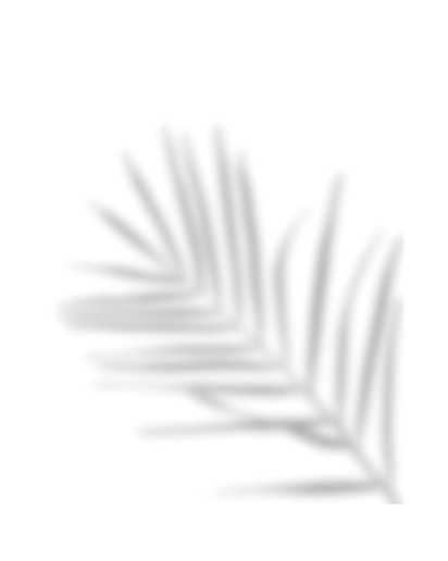 LES PHILIPPINES (14).png