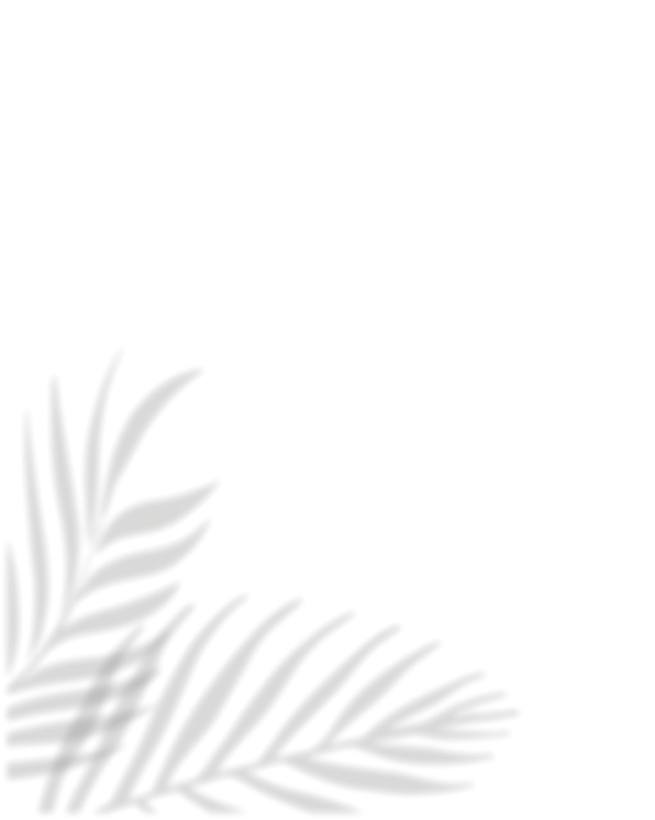 LES PHILIPPINES (13).png