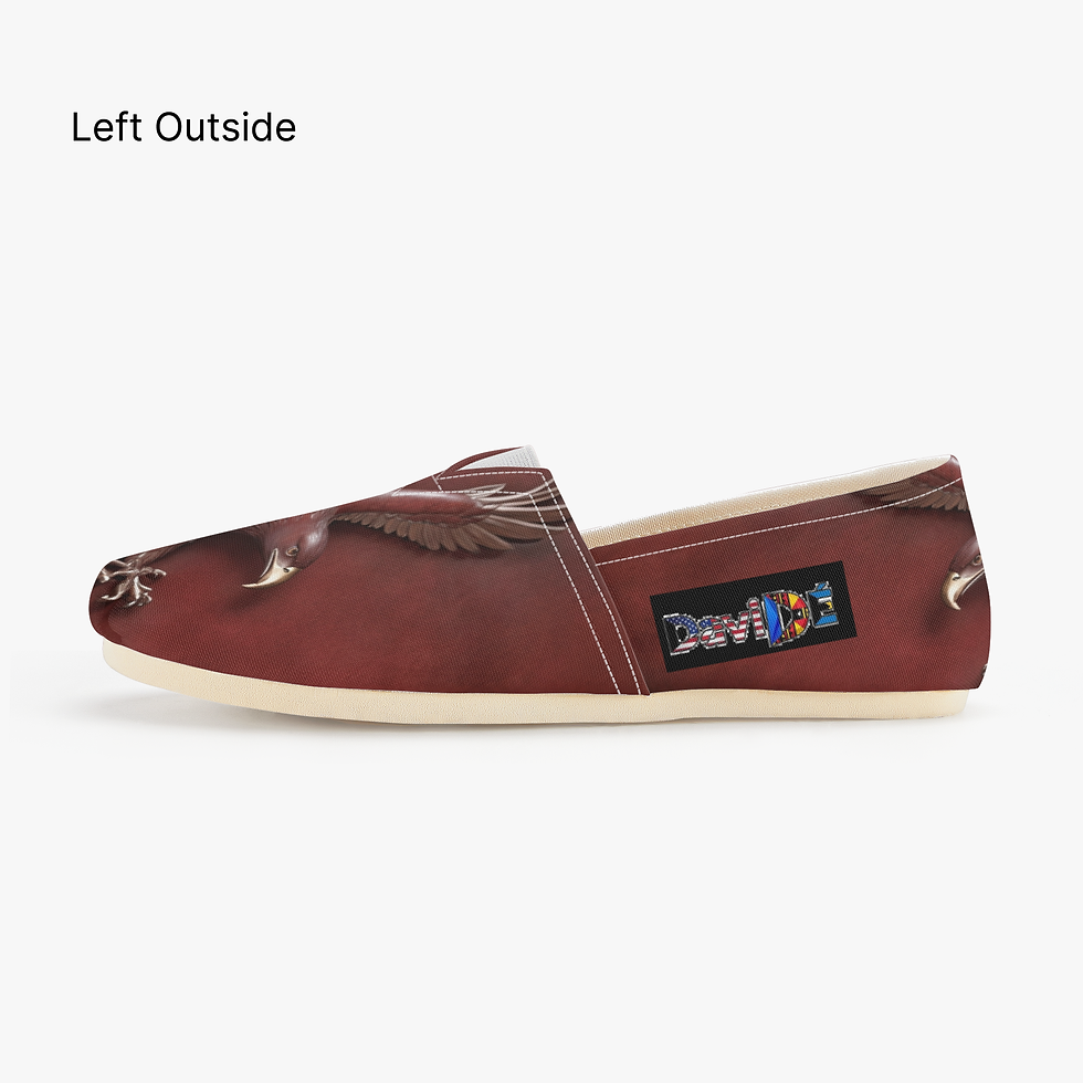 Thumbnail: 1065. DaviDÉ American Eagle Canvas Toms Shoes